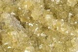 Gemmy, Yellow, Cubic Fluorite Cluster - Moscona Mine, Spain #188317-1